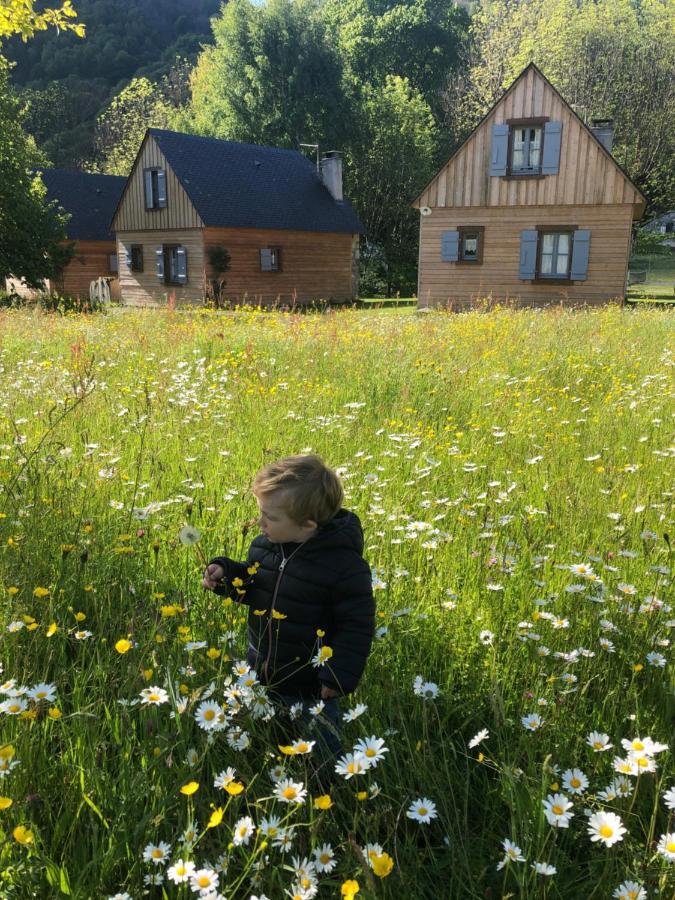 Les Chalets D'Arrens Luaran gambar